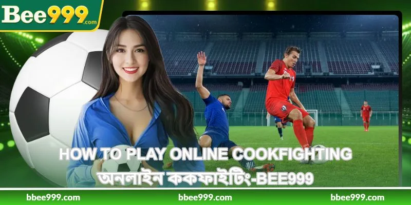 How To Play Online Cookfighting - অনলাইন ককফাইটিং - Bee999 40 How To Play Online Cookfighting - অনলাইন ককফাইটিং - Bee999
