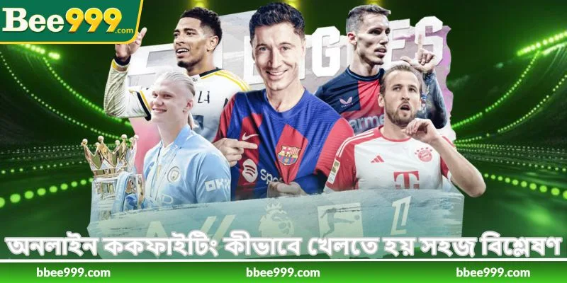 How To Play Online Cookfighting - অনলাইন ককফাইটিং - Bee999 3 অনলাইন ককফাইটিং কীভাবে খেলতে হয় সহজ বিশ্লেষণ
